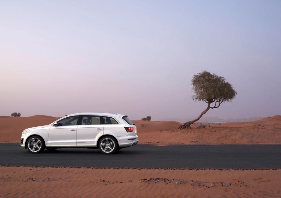  Audi Q7 V12 TDI Quattro (4L) 2008 года  (фото 71 из 73)